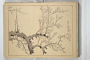 The Four Worthies (Plum, Bamboo, Orchid, Chrysanthemum) (Shikunshi) 竹洞四君子, Nakabayashi Chikutō 中林竹洞 (Japanese, 1776–1853), Set of two woodblock printed books bound as one; ink on paper, Japan