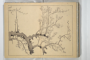 The Four Worthies (Plum, Bamboo, Orchid, Chrysanthemum) (Shikunshi 竹洞四君子), Nakabayashi Chikutō 中林竹洞 (Japanese, 1776–1853), Set of two woodblock printed books bound as one; ink on paper, Japan