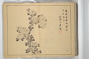 The Four Worthies (Plum, Bamboo, Orchid, Chrysanthemum) (Shikunshi) 竹洞四君子, Nakabayashi Chikutō 中林竹洞 (Japanese, 1776–1853), Set of two woodblock printed books bound as one; ink on paper, Japan