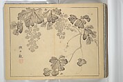 The Four Worthies (Plum, Bamboo, Orchid, Chrysanthemum) (Shikunshi) 竹洞四君子, Nakabayashi Chikutō 中林竹洞 (Japanese, 1776–1853), Set of two woodblock printed books bound as one; ink on paper, Japan