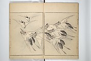 Sōnan (Chinnen) Picture Album (Sōnan gafu) 楚南画譜, Onishi Chinnen 大西椿年 (Japanese, 1792–1851), Woodblock printed book; ink and color on paper, Japan