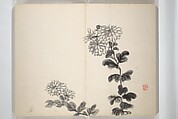 Chinzan Picture Album (Chinzan-ō gafu) 椿山翁畫譜, Tsubaki Chinzan 椿椿山 (Japanese, 1801–1854), Accordion album; ink and color on paper, Japan