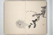 Chinzan Picture Album (Chinzan-ō gafu) 椿山翁畫譜, Tsubaki Chinzan 椿椿山 (Japanese, 1801–1854), Accordion album; ink and color on paper, Japan