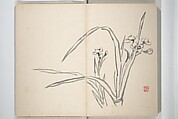 Chinzan Picture Album (Chinzan-ō gafu) 椿山翁畫譜, Tsubaki Chinzan 椿椿山 (Japanese, 1801–1854), Accordion album; ink and color on paper, Japan