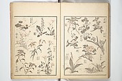 Picture Album of the Floating World (Ukiyo efu) 浮世画譜, Keisai Eisen 渓斎英泉 (Japanese, 1790–1848), Set of three woodblock printed books; ink and color on paper, Japan