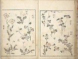 Picture Album of the Floating World (Ukiyo efu) 浮世画譜, Keisai Eisen 渓斎英泉 (Japanese, 1790–1848), Set of three woodblock printed books; ink and color on paper, Japan