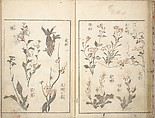 Picture Album of the Floating World (Ukiyo efu) 浮世画譜, Keisai Eisen 渓斎英泉 (Japanese, 1790–1848), Set of three woodblock printed books; ink and color on paper, Japan