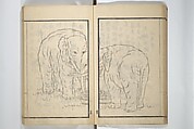 Drawings by the Drunken Fuyō (Gazu sui Fuyō) 画図酔芙蓉, Suzuki Fuyō 鈴木芙蓉 (Japanese, 1749–1816), Set of three woodblock printed books bound as a single volume; ink on paper, Japan