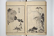 Drawings by the Drunken Fuyō (Gazu sui Fuyō) 画図酔芙蓉, Suzuki Fuyō 鈴木芙蓉 (Japanese, 1749–1816), Set of three woodblock printed books bound as a single volume; ink on paper, Japan