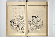 Drawings by the Drunken Fuyō (Gazu sui Fuyō) 画図酔芙蓉, Suzuki Fuyō 鈴木芙蓉 (Japanese, 1749–1816), Set of three woodblock printed books bound as a single volume; ink on paper, Japan