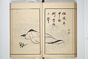 Drawings by the Drunken Fuyō (Gazu sui Fuyō) 画図酔芙蓉, Suzuki Fuyō 鈴木芙蓉 (Japanese, 1749–1816), Set of three woodblock printed books bound as a single volume; ink on paper, Japan