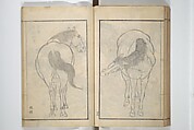 Drawings by the Drunken Fuyō (Gazu sui Fuyō) 画図酔芙蓉, Suzuki Fuyō 鈴木芙蓉 (Japanese, 1749–1816), Set of three woodblock printed books bound as a single volume; ink on paper, Japan