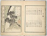 Ichirō Picture Album (Ichirō gafu) 一老画譜, Yashima Gakutei 八島岳亭 (Japanese, 1786?–1868), Woodblock printed book; ink and color on paper, Japan
