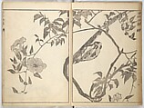 A Thicket of Pictures Without Shapes (Fukei gasō) 不形画藪, Chō Gesshō 張月樵 (Japanese, 1772–1832), Woodblock printed book; ink and color on paper, Japan