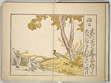 Collection of Thirty-six Kyōka Poems (Roku roku kyōka sen) 六々狂歌撰, Fukuchi Hakuei 福智白瑛 (Japanese, active early 19th century), Woodblock printed book; ink and color on paper, Japan