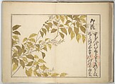 Collection of Thirty-six Kyōka Poems (Roku roku kyōka sen) 六々狂歌撰, Fukuchi Hakuei 福智白瑛 (Japanese, active early 19th century), Woodblock printed book; ink and color on paper, Japan