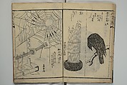 Ideas for Various Things of the Seasons (Shiki Tsukurimono shukō no tane) 四季造物趣向種, Hanzan (Matsukawa) 松川半山 (Japanese, 1820–1882), Set of two woodblock printed books; ink on paper, Japan