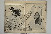 Ideas for Various Things of the Seasons (Shiki Tsukurimono shukō no tane) 四季造物趣向種, Hanzan (Matsukawa) 松川半山 (Japanese, 1820–1882), Set of two woodblock printed books; ink on paper, Japan