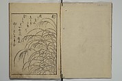 Picture Book of the Eternal Pines (Ehon chiyo no matsu) 絵本千代の松, Suzuki Harunobu 鈴木春信 (Japanese, 1725–1770), Set of three woodblock printed books; ink on paper, Japan