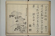 Primer on Eight Varieties of Painting (Hasshu gafu) 八集画譜, Unidentified Artists, Japanese, Set of five woodblock printed books; ink on paper, Japan