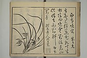 Primer on Eight Varieties of Painting (Hasshu gafu) 八集画譜, Unidentified Artists, Japanese, Set of five woodblock printed books; ink on paper, Japan