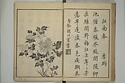 Primer on Eight Varieties of Painting (Hasshu gafu) 八集画譜, Unidentified Artists, Japanese, Set of five woodblock printed books; ink on paper, Japan