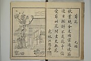 Primer on Eight Varieties of Painting (Hasshu gafu) 八集画譜, Unidentified Artists, Japanese, Set of five woodblock printed books; ink on paper, Japan