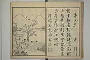 Primer on Eight Varieties of Painting (Hasshu gafu) 八集画譜, Unidentified Artists, Japanese, Set of five woodblock printed books; ink on paper, Japan