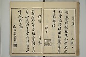 Primer on Eight Varieties of Painting (Hasshu gafu) 八集画譜, Unidentified Artists, Japanese, Set of five woodblock printed books; ink on paper, Japan