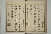 Primer on Eight Varieties of Painting (Hasshu gafu) 八集画譜, Unidentified Artists, Japanese, Set of five woodblock printed books; ink on paper, Japan