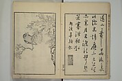 Primer on Eight Varieties of Painting (Hasshu gafu) 八集画譜, Unidentified Artists, Japanese, Set of five woodblock printed books; ink on paper, Japan