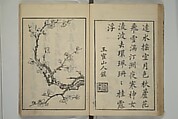 Primer on Eight Varieties of Painting (Hasshu gafu) 八集画譜, Unidentified Artists, Japanese, Set of five woodblock printed books; ink on paper, Japan