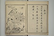 Primer on Eight Varieties of Painting (Hasshu gafu) 八集画譜, Unidentified Artists, Japanese, Set of five woodblock printed books; ink on paper, Japan