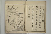Primer on Eight Varieties of Painting (Hasshu gafu) 八集画譜, Unidentified Artists, Japanese, Set of five woodblock printed books; ink on paper, Japan