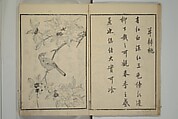 Primer on Eight Varieties of Painting (Hasshu gafu) 八集画譜, Unidentified Artists, Japanese, Set of five woodblock printed books; ink on paper, Japan