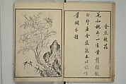Primer on Eight Varieties of Painting (Hasshu gafu) 八集画譜, Unidentified Artists, Japanese, Set of five woodblock printed books; ink on paper, Japan
