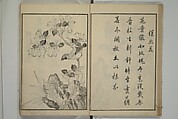 Primer on Eight Varieties of Painting (Hasshu gafu) 八集画譜, Unidentified Artists, Japanese, Set of five woodblock printed books; ink on paper, Japan