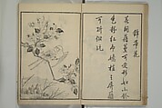 Primer on Eight Varieties of Painting (Hasshu gafu) 八集画譜, Unidentified Artists, Japanese, Set of five woodblock printed books; ink on paper, Japan