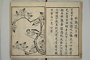 Primer on Eight Varieties of Painting (Hasshu gafu) 八集画譜, Unidentified Artists, Japanese, Set of five woodblock printed books; ink on paper, Japan
