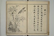Primer on Eight Varieties of Painting (Hasshu gafu) 八集画譜, Unidentified Artists, Japanese, Set of five woodblock printed books; ink on paper, Japan