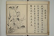 Primer on Eight Varieties of Painting (Hasshu gafu) 八集画譜, Unidentified Artists, Japanese, Set of five woodblock printed books; ink on paper, Japan