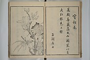 Primer on Eight Varieties of Painting (Hasshu gafu) 八集画譜, Unidentified Artists, Japanese, Set of five woodblock printed books; ink on paper, Japan