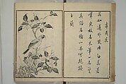Primer on Eight Varieties of Painting (Hasshu gafu) 八集画譜, Unidentified Artists, Japanese, Set of five woodblock printed books; ink on paper, Japan