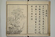Primer on Eight Varieties of Painting (Hasshu gafu) 八集画譜, Unidentified Artists, Japanese, Set of five woodblock printed books; ink on paper, Japan