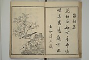 Primer on Eight Varieties of Painting (Hasshu gafu) 八集画譜, Unidentified Artists, Japanese, Set of five woodblock printed books; ink on paper, Japan