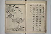Primer on Eight Varieties of Painting (Hasshu gafu) 八集画譜, Unidentified Artists, Japanese, Set of five woodblock printed books; ink on paper, Japan