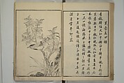 Primer on Eight Varieties of Painting (Hasshu gafu) 八集画譜, Unidentified Artists, Japanese, Set of five woodblock printed books; ink on paper, Japan