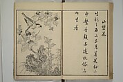 Primer on Eight Varieties of Painting (Hasshu gafu) 八集画譜, Unidentified Artists, Japanese, Set of five woodblock printed books; ink on paper, Japan