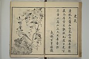 Primer on Eight Varieties of Painting (Hasshu gafu) 八集画譜, Unidentified Artists, Japanese, Set of five woodblock printed books; ink on paper, Japan