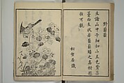 Primer on Eight Varieties of Painting (Hasshu gafu) 八集画譜, Unidentified Artists, Japanese, Set of five woodblock printed books; ink on paper, Japan